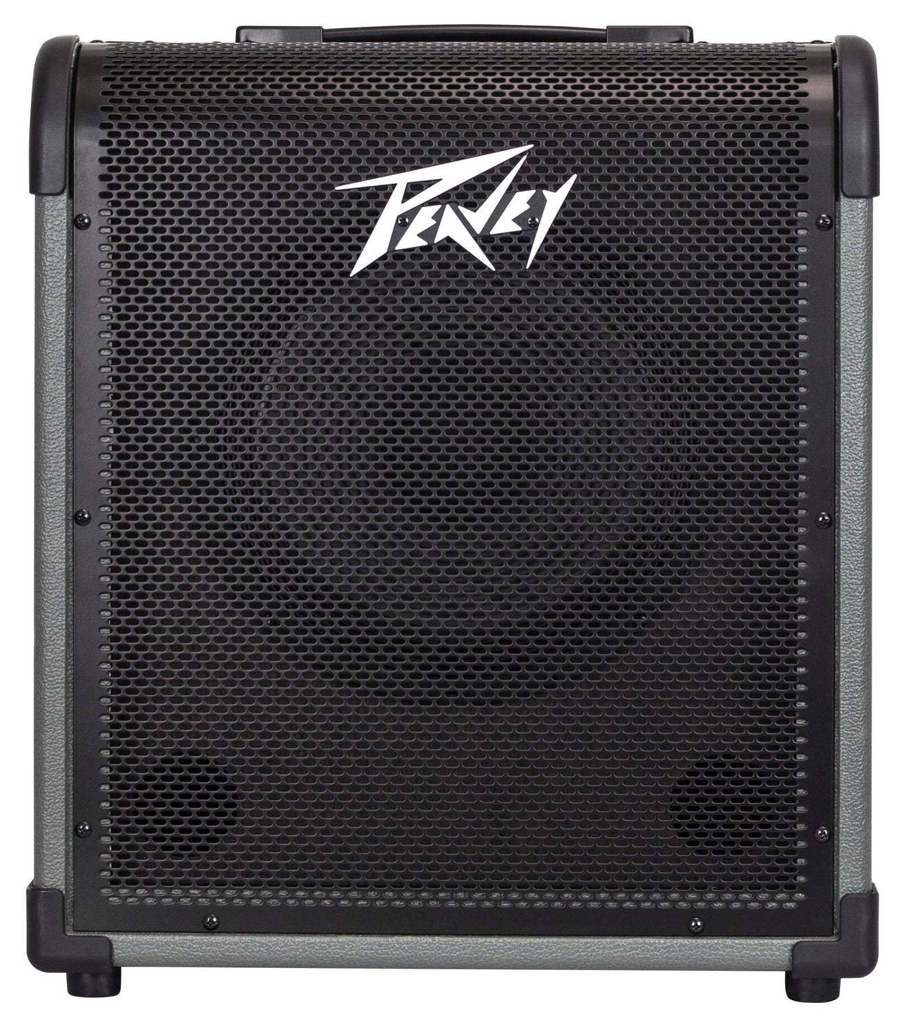 Max 100 100-Watt Bass Amp Combo
