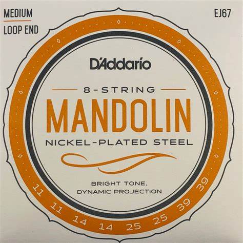 STRING MANDOLIN D'Addario EJ67