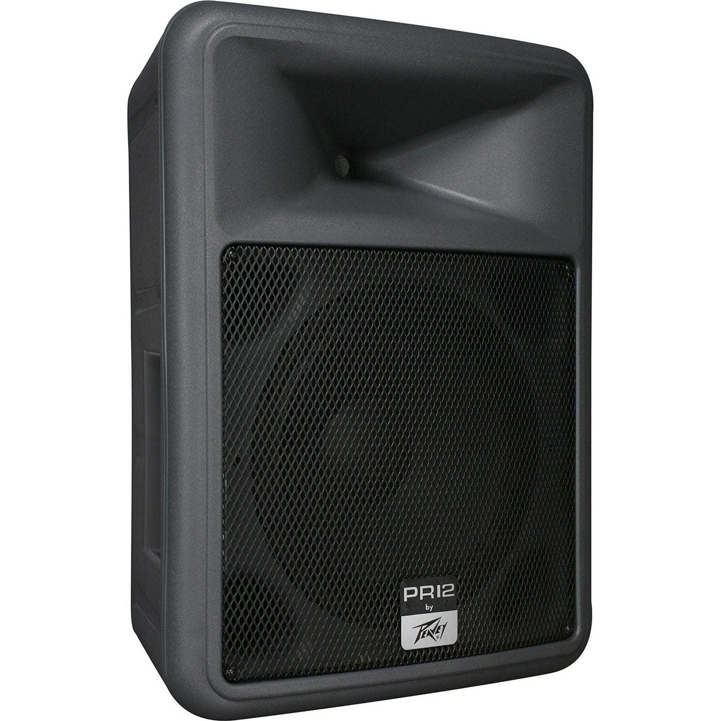 Speaker Rental Package two 12 Inch Cabinets