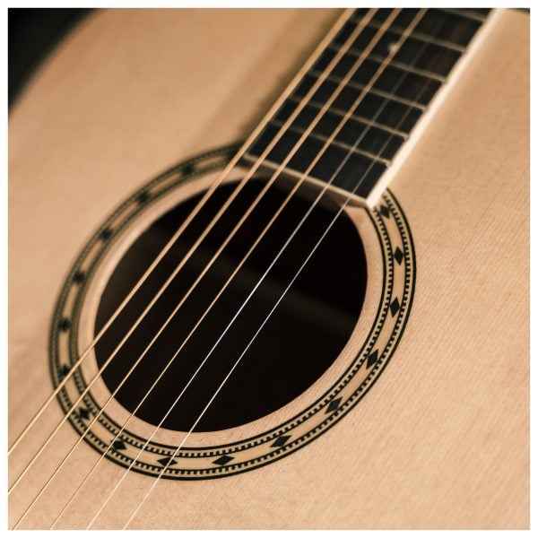 Peavey Delta Woods DW-2 Solid Topy Dreadnaught Acoustic Guitar