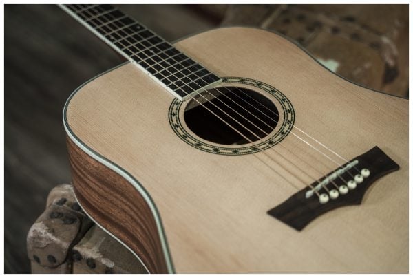 Peavey Delta Woods DW-2 Solid Topy Dreadnaught Acoustic Guitar