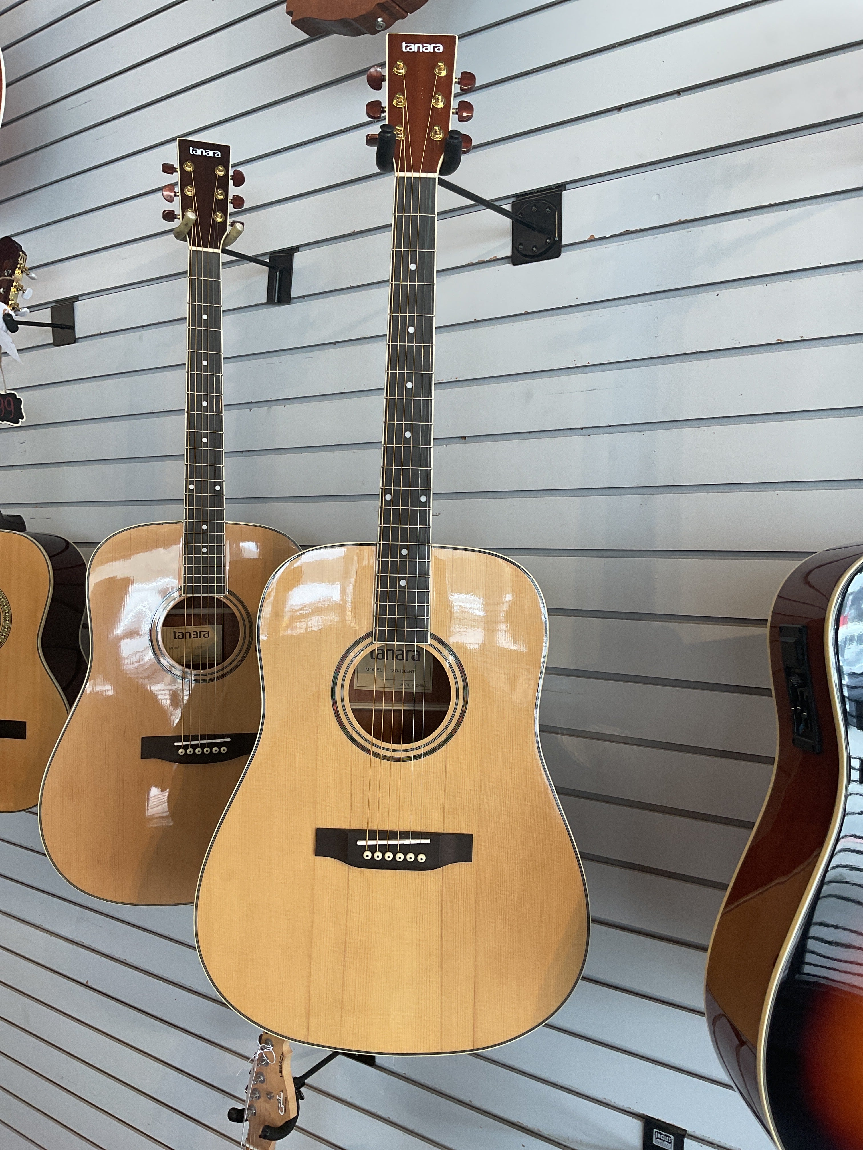 GUITAR DREADNAT TANARA