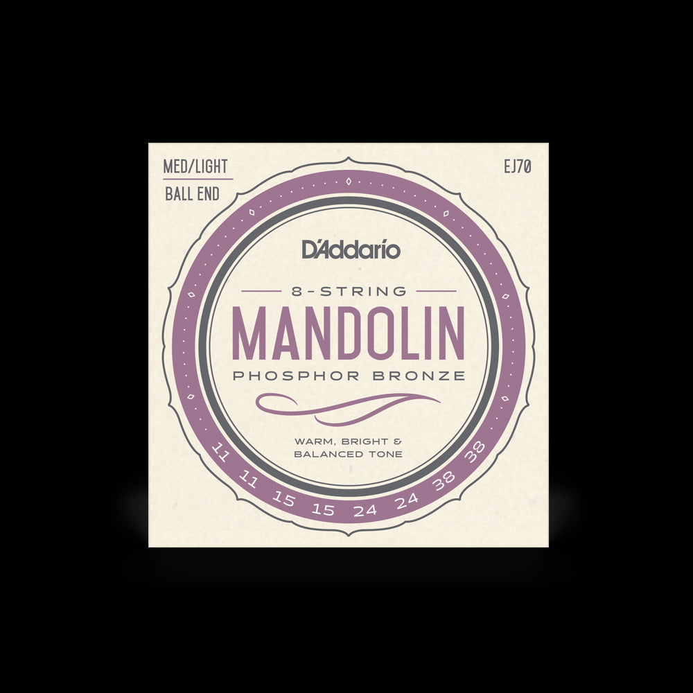 Mandolin String Set