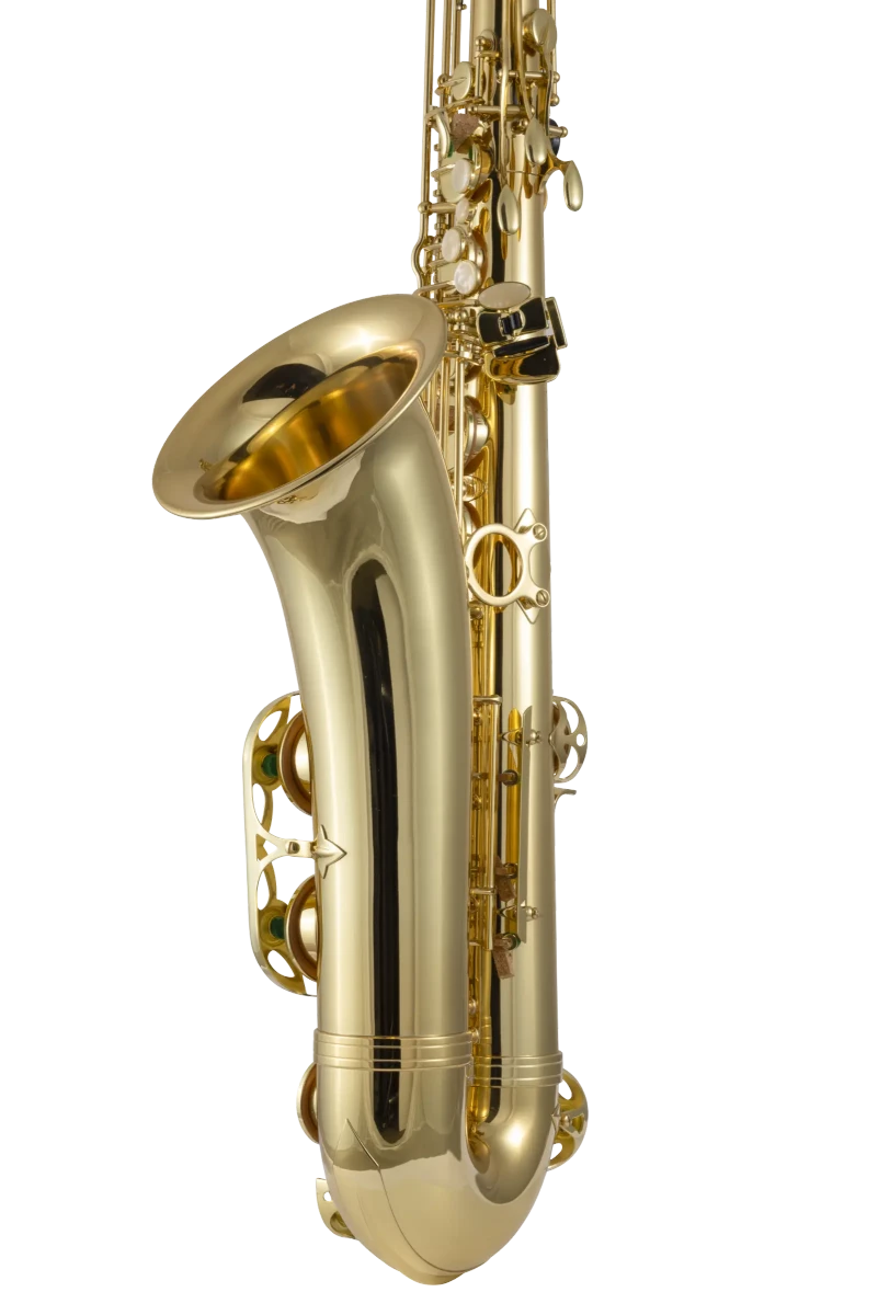 Alto Saxophone Stagg #452