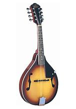 Oscar Schmitt Left-Handed Mandolin